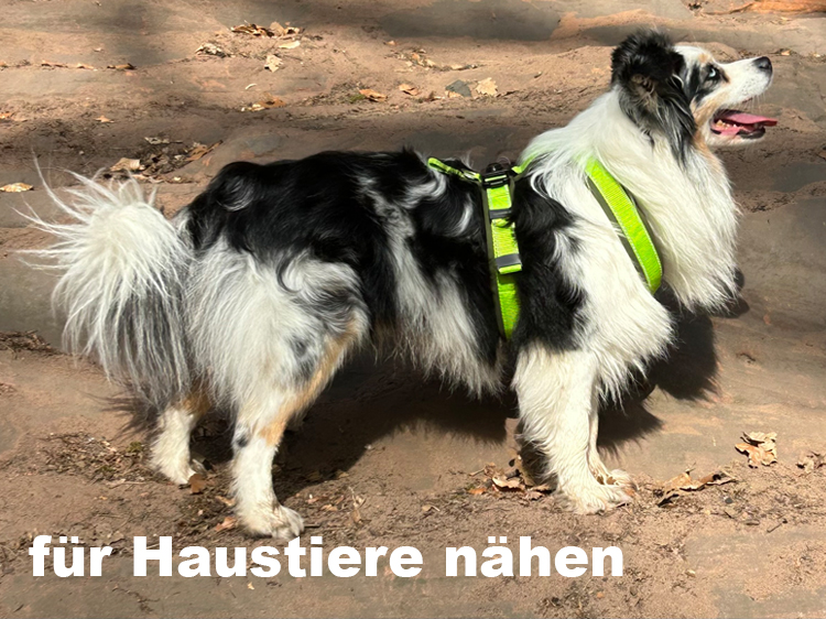 Nähen für Haustiere