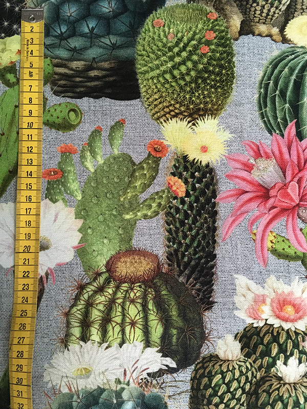 Kaktus Canvas 1